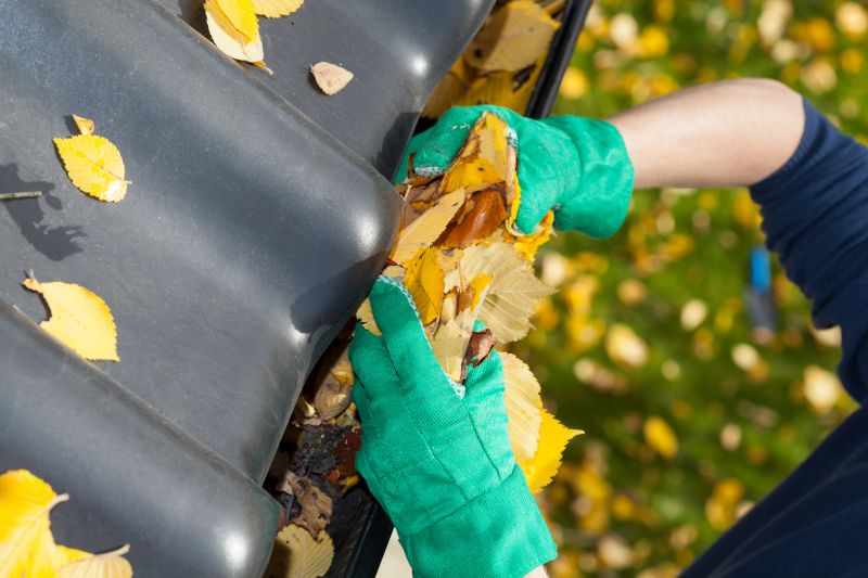 Fall Gutter Clearing